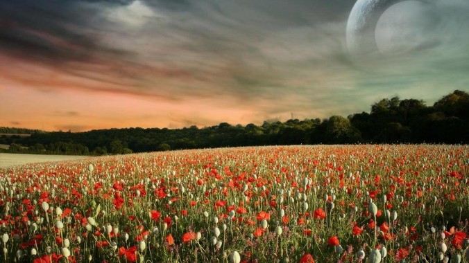 为什么现在推出跨境支付通?